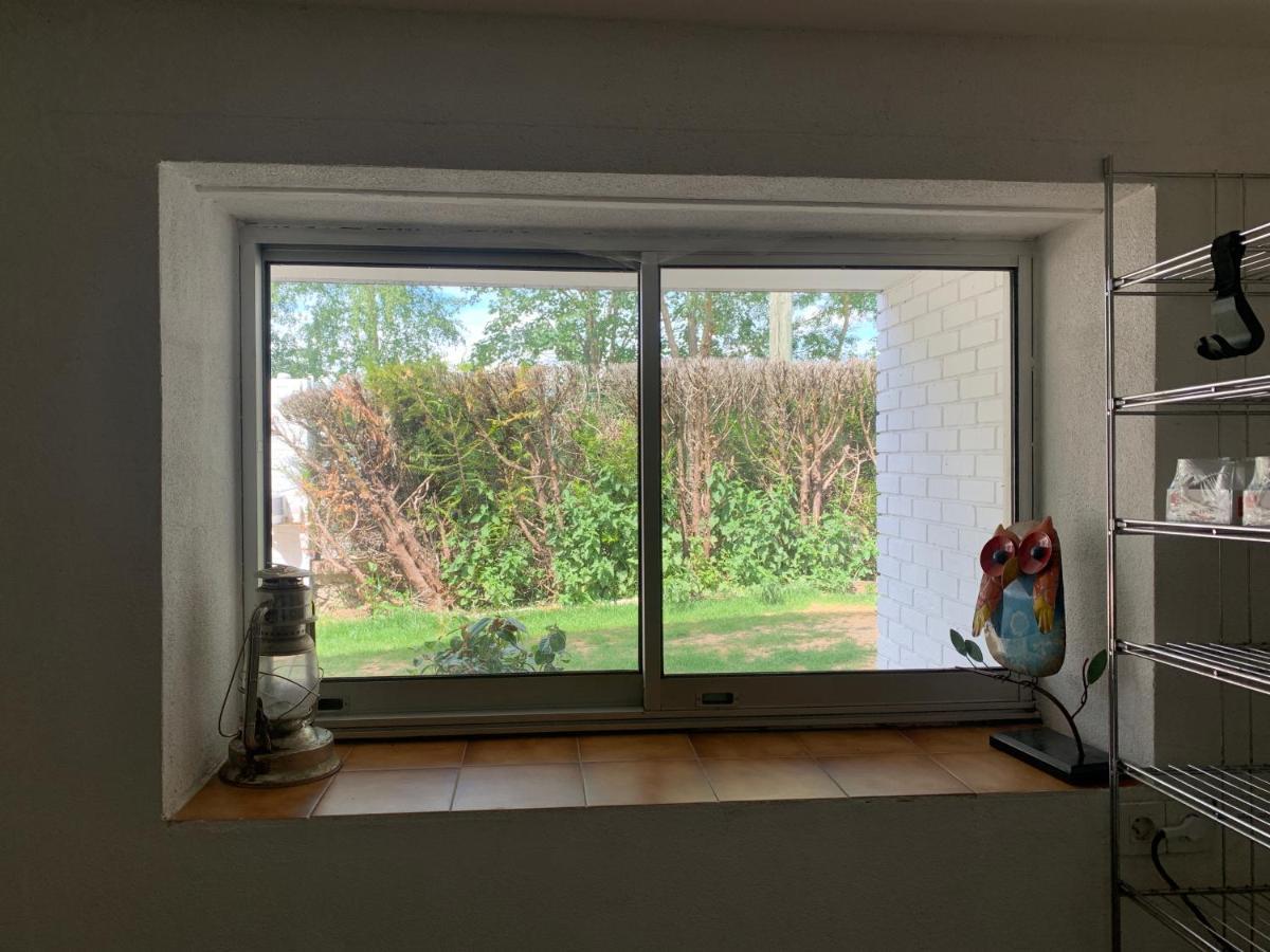 Appartement Familial Au Bord De La Marne, Jardin 8000M2, Piscine, Court De Tennis, Terrasse, Parking Gratuit Proche Disneyland Isles-les-Villenoy Екстер'єр фото
